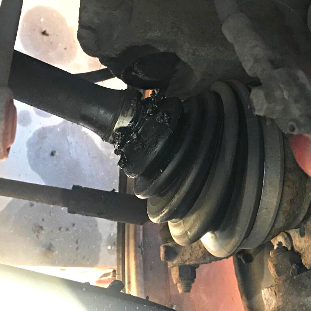 275114460_7332748466765121_4276879059136316494_n